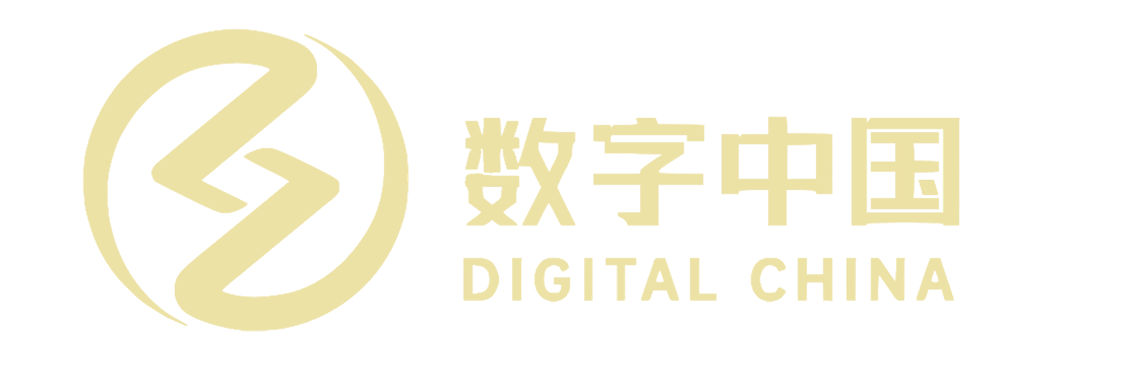 数字中国控股集团有限公司
